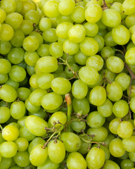 Grape